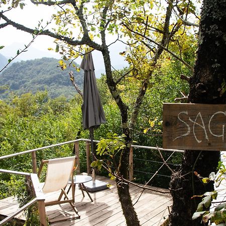 Отель Hoopoe Glamping Вирпазар Экстерьер фото