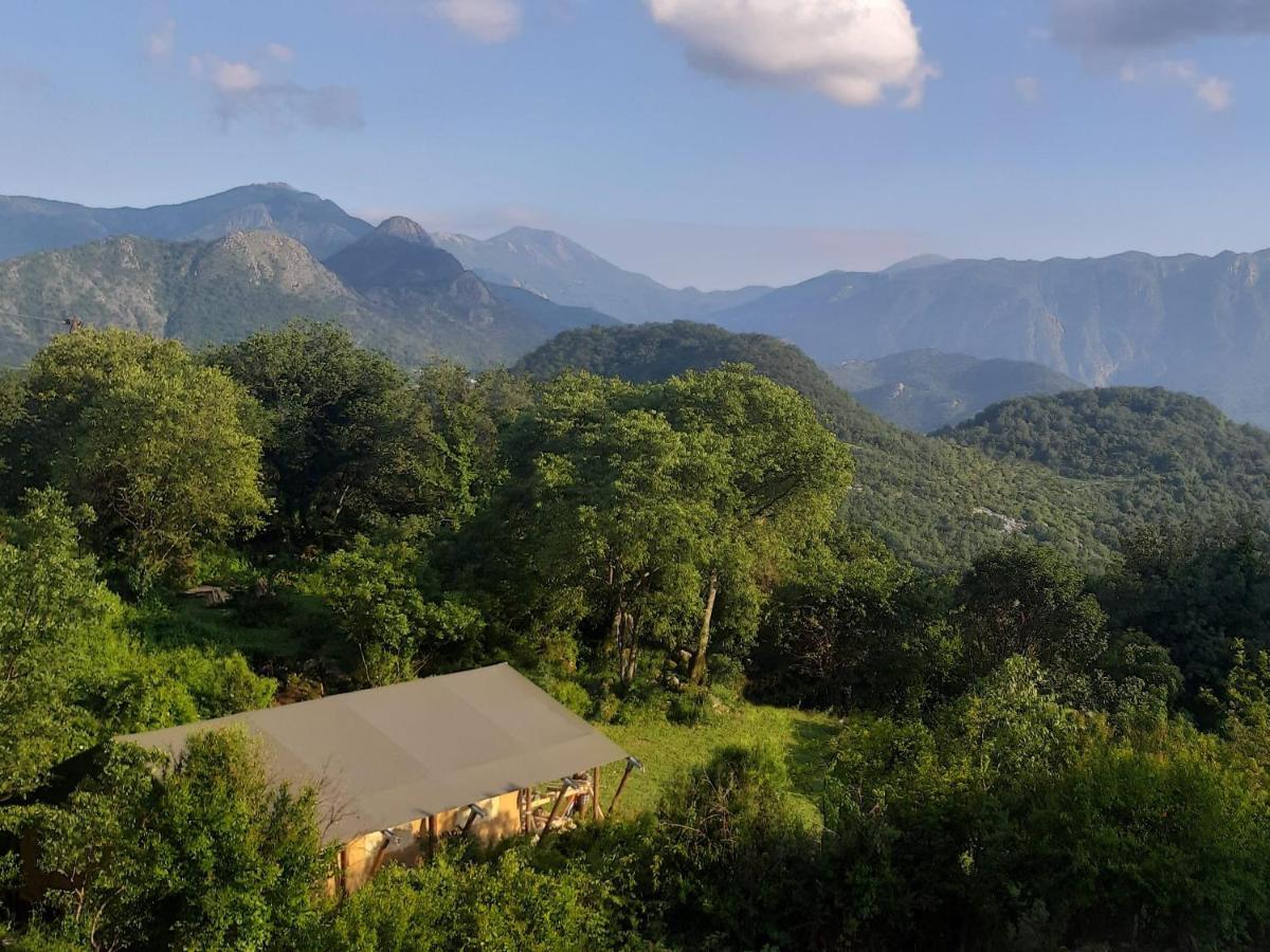 Отель Hoopoe Glamping Вирпазар Экстерьер фото